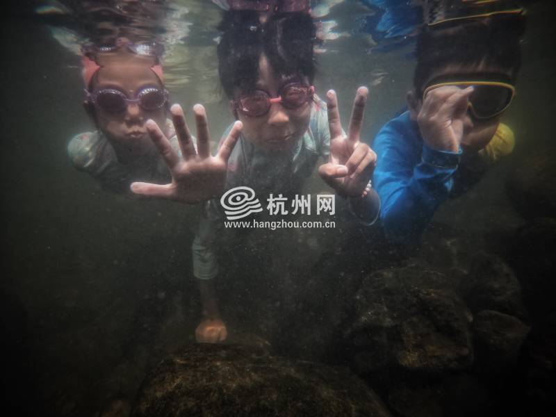 热到化！杭州市民选择“潜水”“摸鱼”(02)