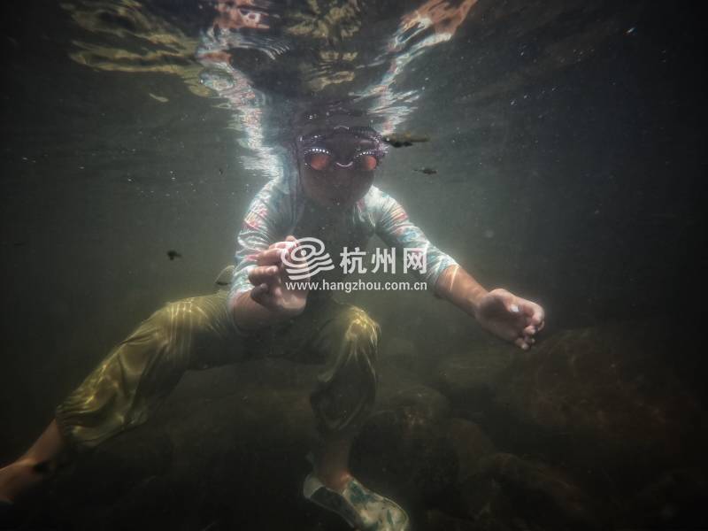 热到化！杭州市民选择“潜水”“摸鱼”(15)