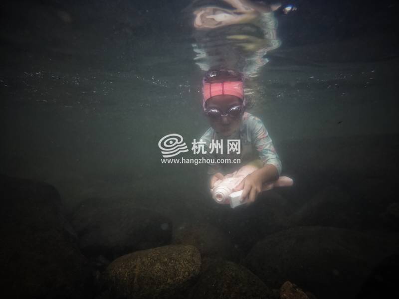 热到化！杭州市民选择“潜水”“摸鱼”(18)
