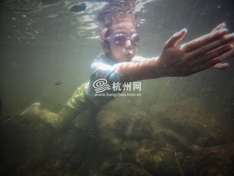 热到化！杭州市民选择“潜水”“摸鱼”(27)