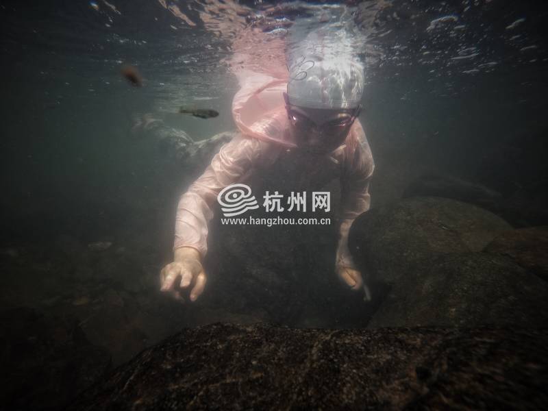 热到化！杭州市民选择“潜水”“摸鱼”(38)