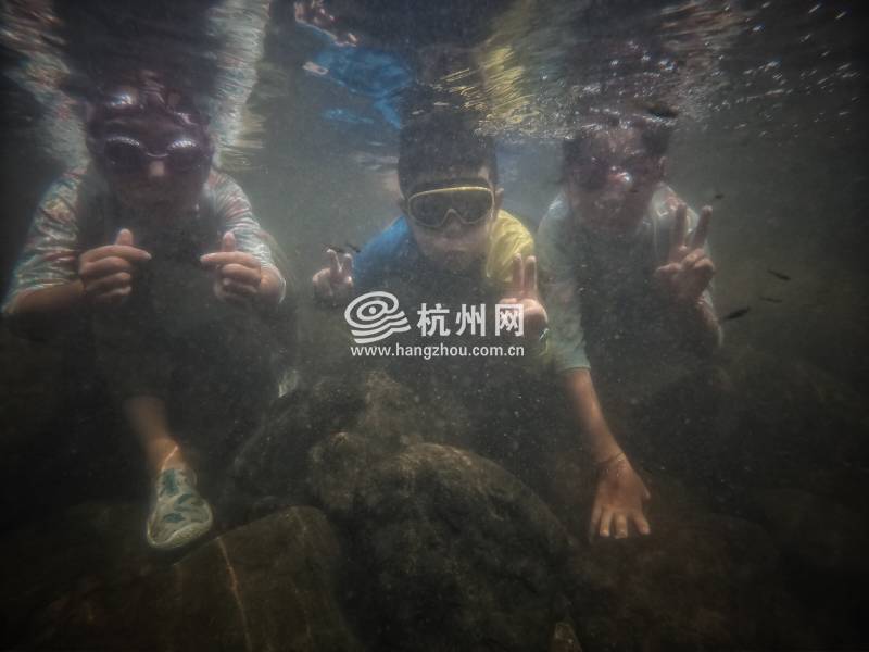 热到化！杭州市民选择“潜水”“摸鱼”(25)