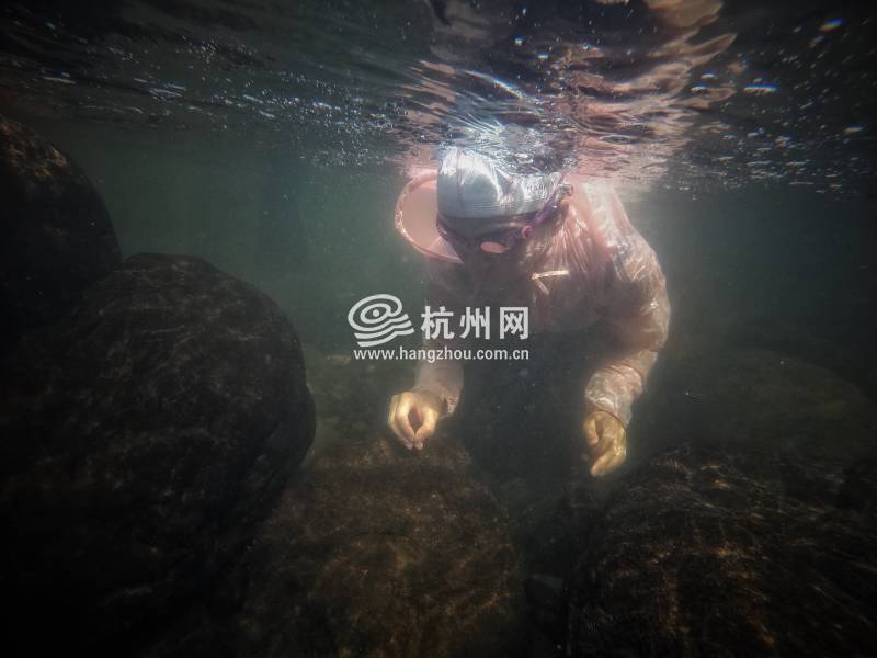 热到化！杭州市民选择“潜水”“摸鱼”(34)