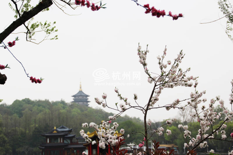 苏堤春晓(04)