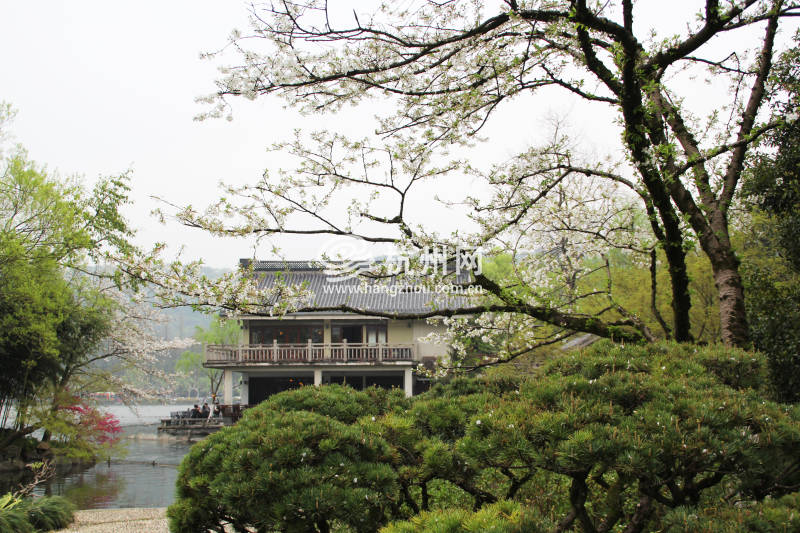 杭州三月花开之街边公园(01)