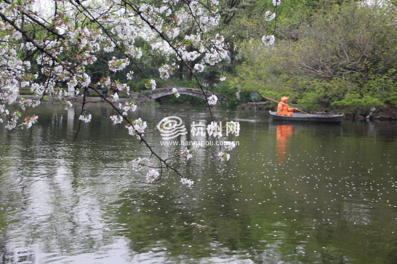杭州三月花开之街边公园(08)