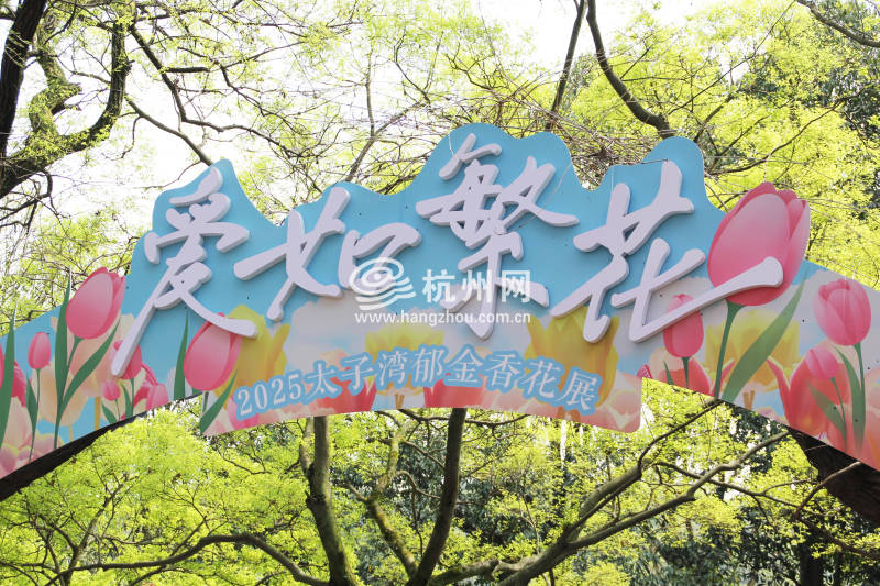 太子湾公园2025年“爱如繁花”郁金香花展(14)