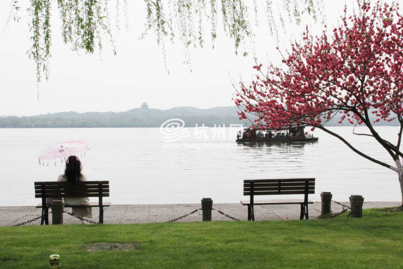 杭州西湖白堤 —— 花(19)