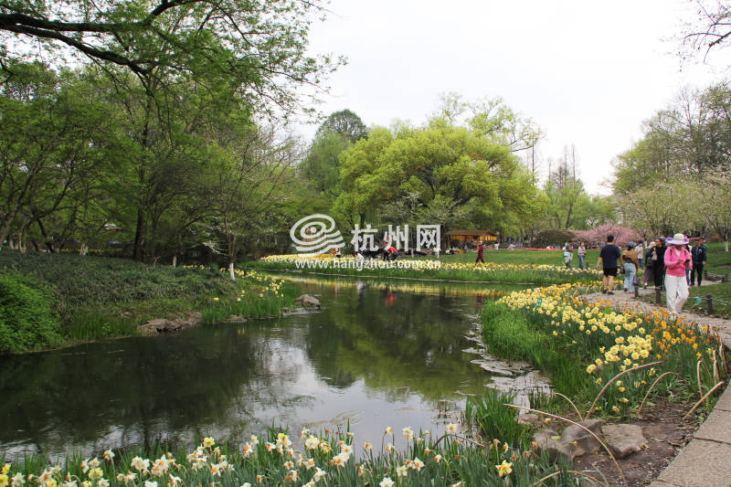 太子湾公园2025年“爱如繁花”郁金香花展(36)